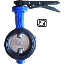 Butterfly Valve